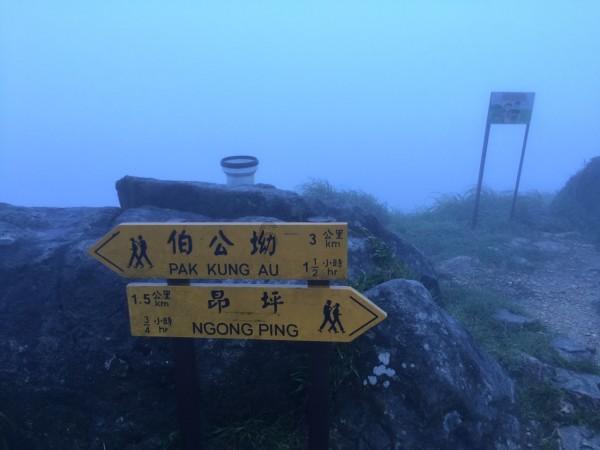 神谕文明